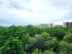 d'Nest (D18), Condominium #479902121